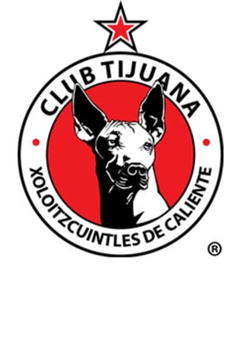 Logo organización 4